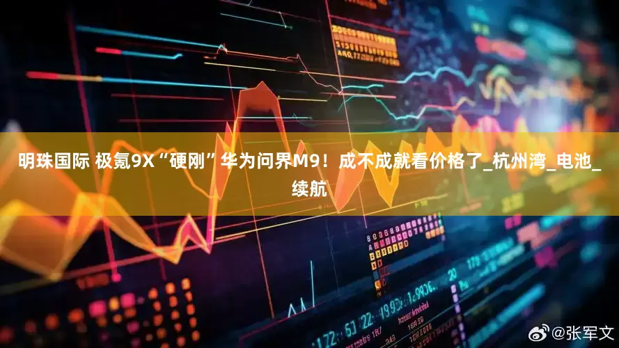 明珠国际 极氪9X“硬刚”华为问界M9！成不成就看价格了_杭州湾_电池_续航